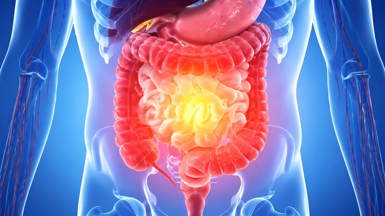 Most common gut health myths busted: Not having a bowel movement