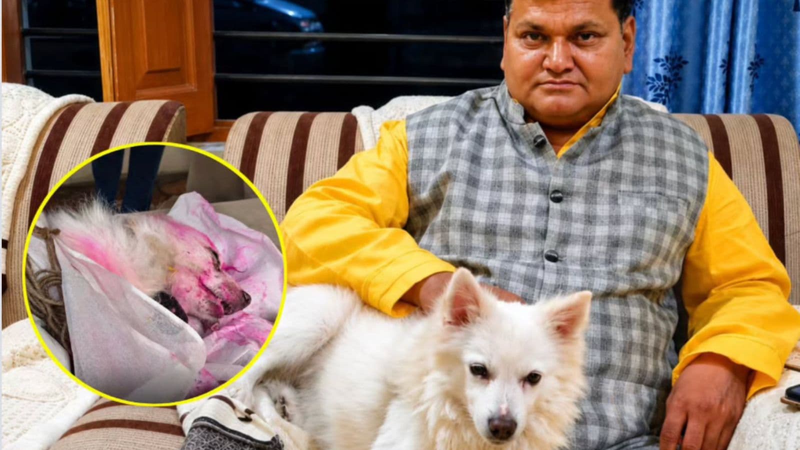 Pet dog dies after owners death in Madhya Pradesh