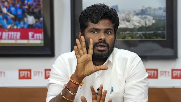 Could Annamalai have saved BJP in TN?