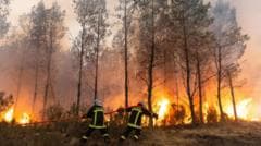 France and Spain wildfire witnesses describe 'wall of flames', fear and stress