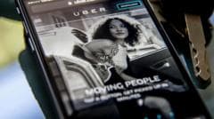 From butterflies to breast milk, Uber's list of lost items reveals wild backseat discoveries