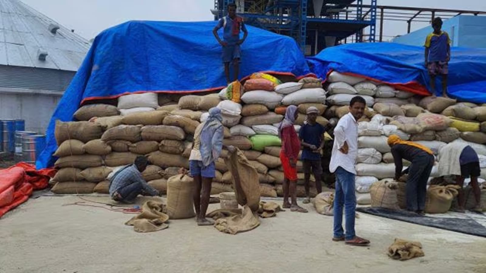 How can you take completely opposite decisions within 3 months?: Sugar export ban draws sharp reactions from farmer groups