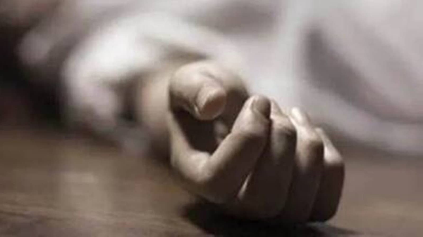 Lion kills restaurant worker in Gujarats Amreli
