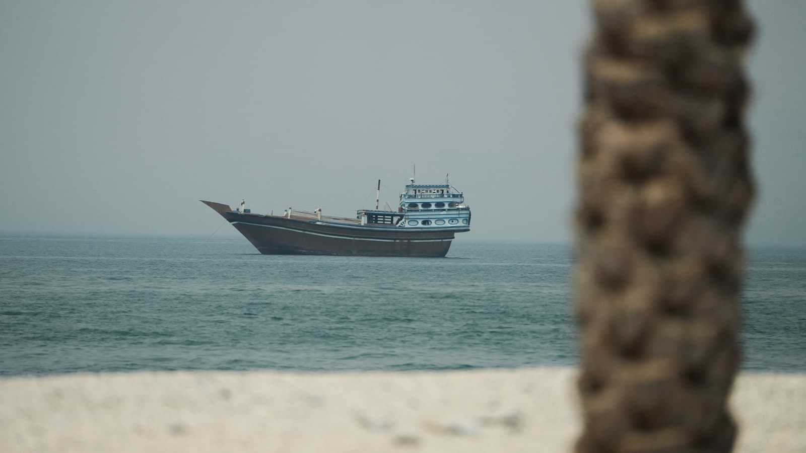 Dont deploy Indian sailors on ships passing through Hormuz: India tells shipping firms