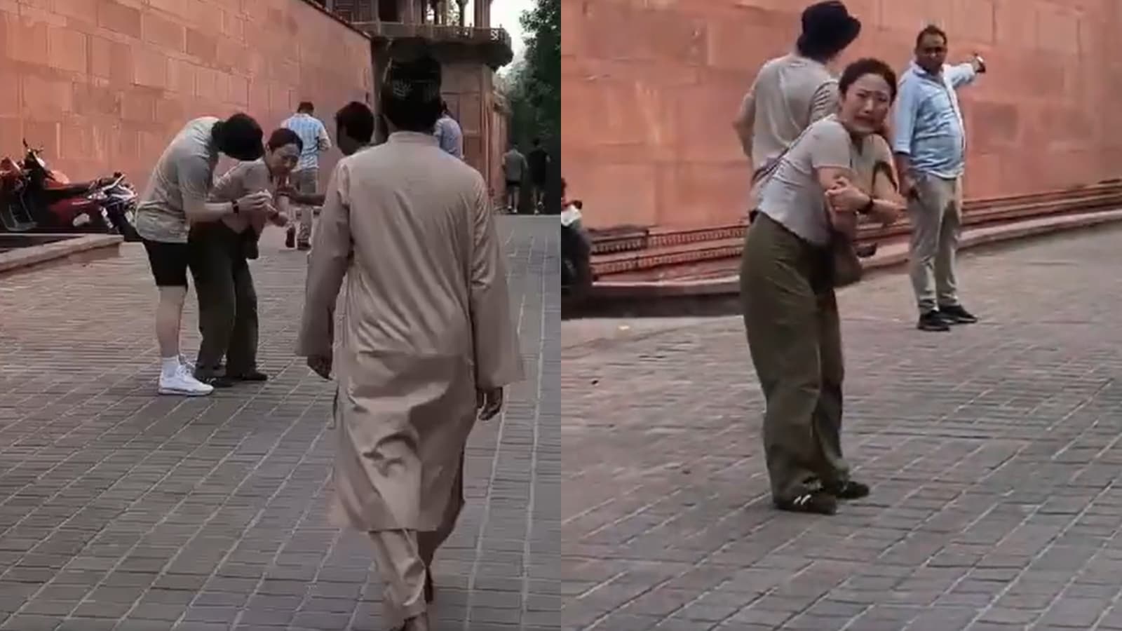 South Korean tourist attacked by monkey at Taj Mahal; ambulance arrives an hour later