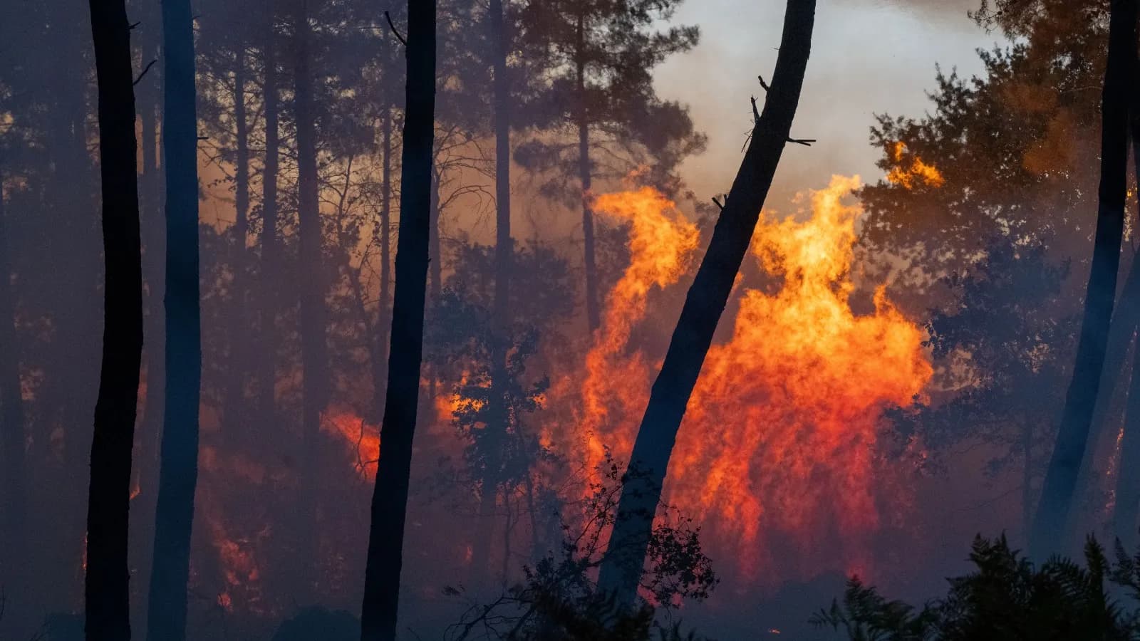 Europe battles wildfires as heatwave forces 30,000 to evacuate across France, Spain