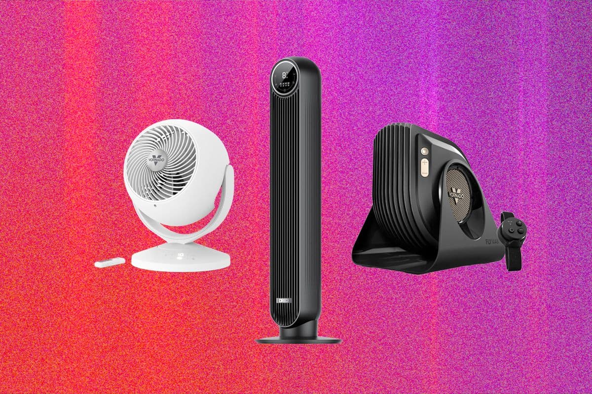 The 15 Best Fans to Buy Before It Gets Hot Again (2026)