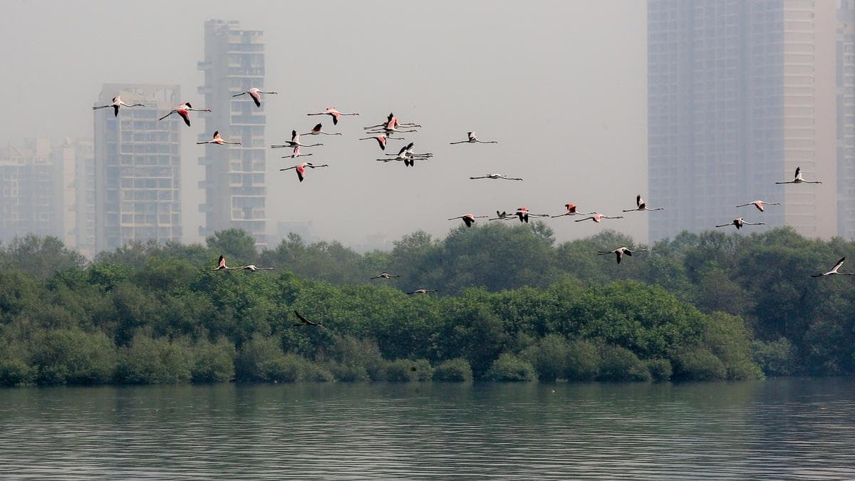 Maharashtra completes documentation of over 23,000 wetlands
