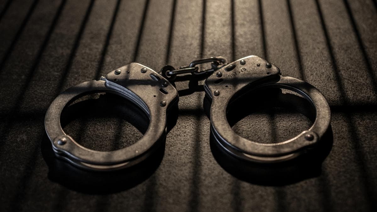AAP MLA Vasava, 8 others get 7 years in jail for assaulting forest officials, extortion