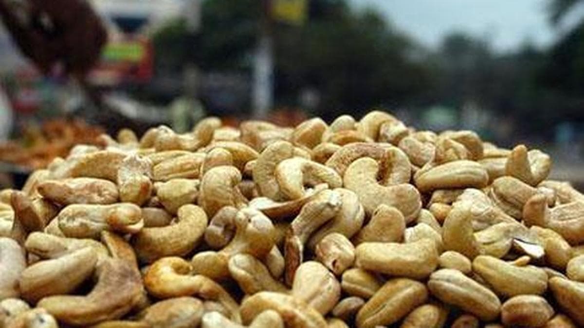 Kerala cashew import scam: Govt tells HC that State to sanction CBI prosecution of former KSCDC chairperson, MD