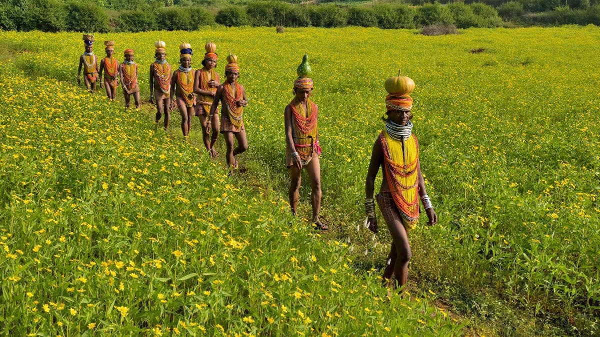 National Handloom Day: Inside the Bonda tribe’s enduring Ringa weaving tradition