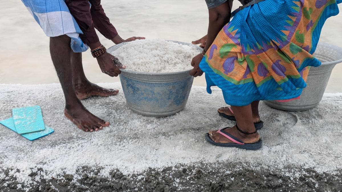 Living by the sun, losing to the rain: life in Marakkanam’s salt pans in T.N.