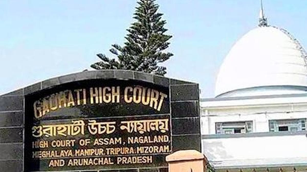 Assam labourer shows 15 documents but fails citizenship test in High Court