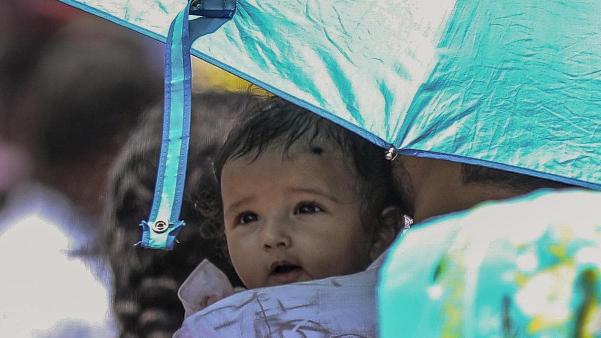 Telangana reels under rising heat as six districts record temperatures above 45℃