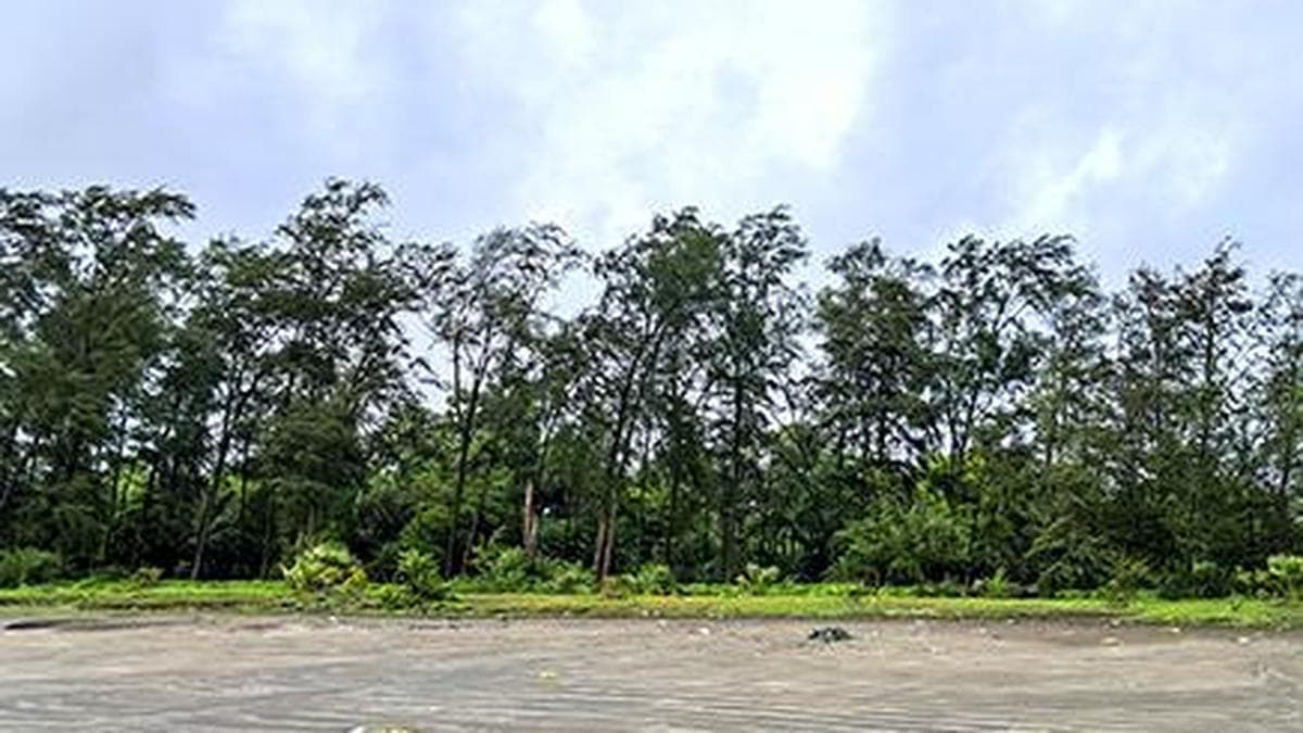 124 villagers voluntarily hand over land parcels for Vadhvan Port in Palghar district