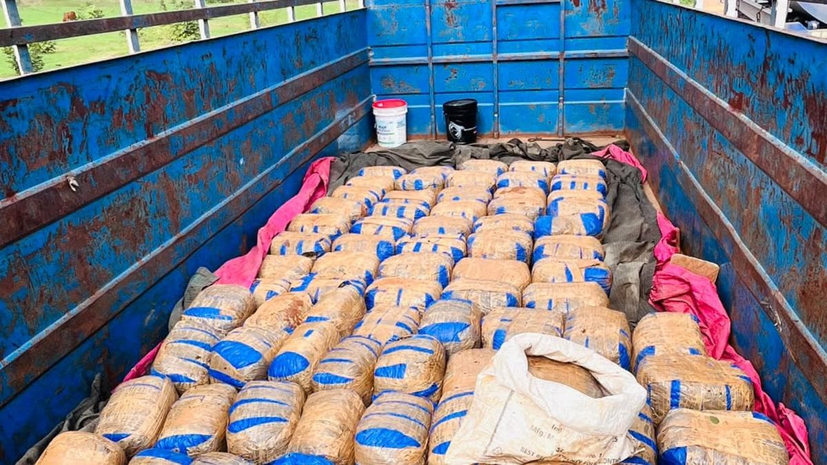 EAGLE seizes 385 kg ganja near Chhattisgarh-Maharashtra border