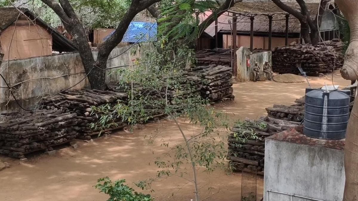 Around 1.75 tonnes of red sanders stolen from sandalwood depot