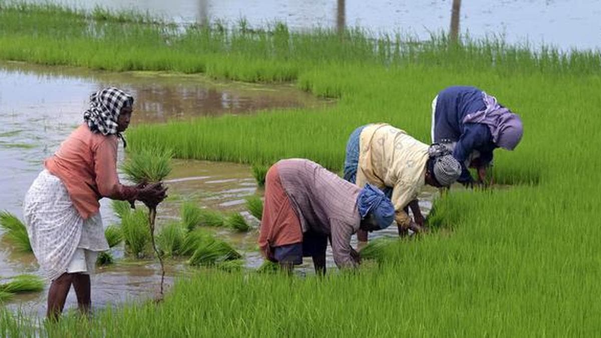 UP, Gujarat, Jharkhand, 10 other States record revenue surplus in FY25: CAG report