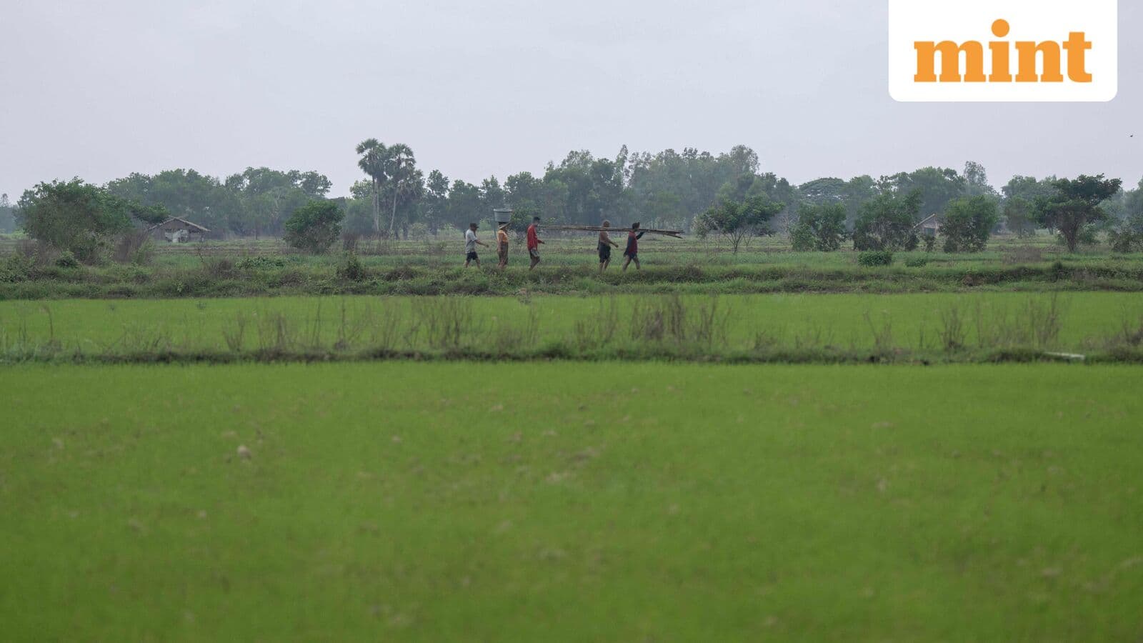 India cuts monsoon forecast to 90% of normal in risk to crops