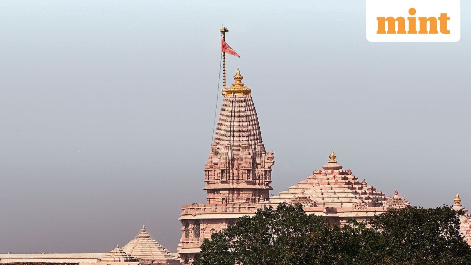 Allahabad HC judge suggests death penalty for corruption, cites Ram Mandir donation theft allegations
