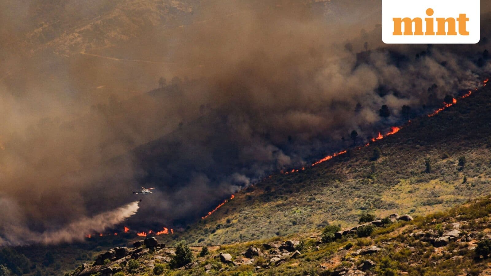 Spain declares national emergency as wildfires rage; France evacuates 40,000