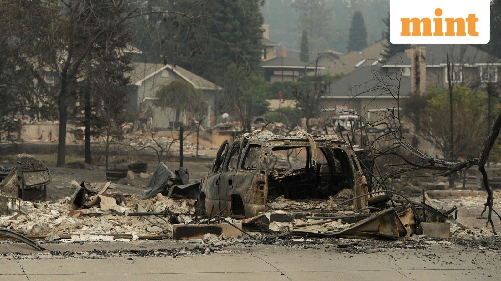 Wildfires in US' Spokane burn 600 structures, force evacuation of 60,000 people: ‘We are not out of danger’