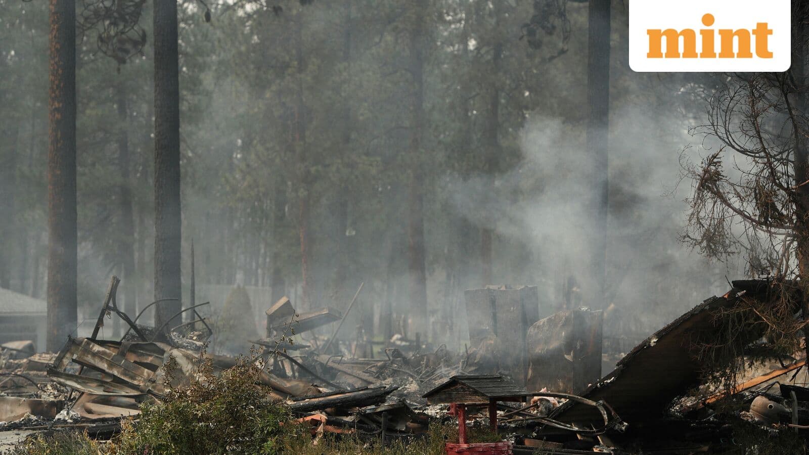 Rapidly spreading wildfires destroy homes in Spokane, forcing evacuations: What we know