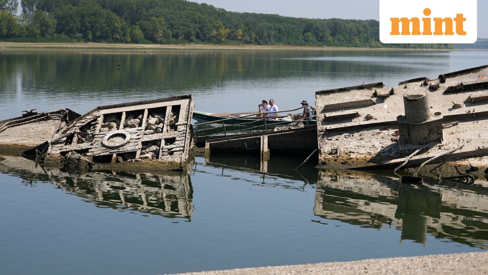 Nazi warships, bones of woolly mammoth: Danube reveals historic relics as water level sees record-breaking drop