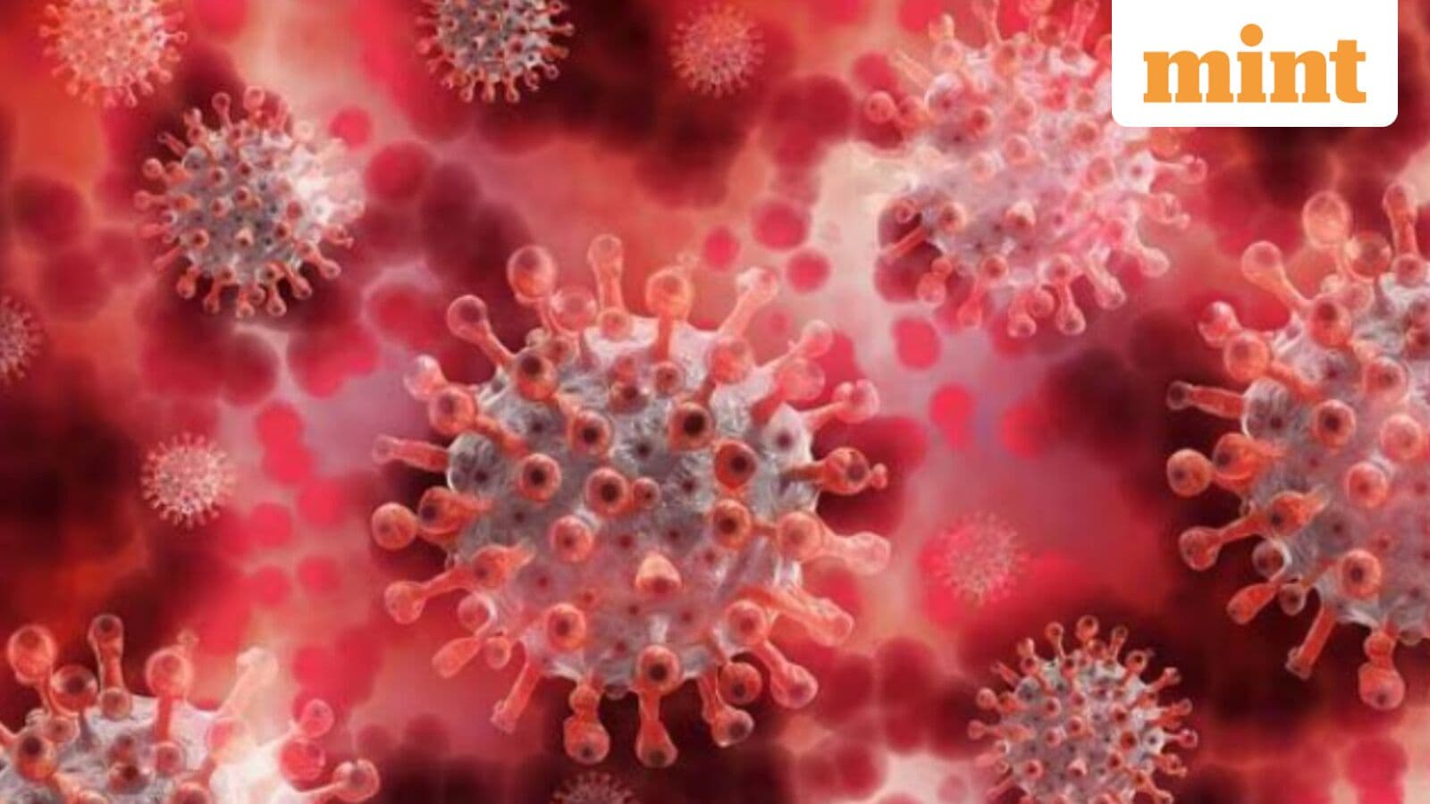 Chandipura virus: What is it, how does it spread, symptoms and ways to prevent infection