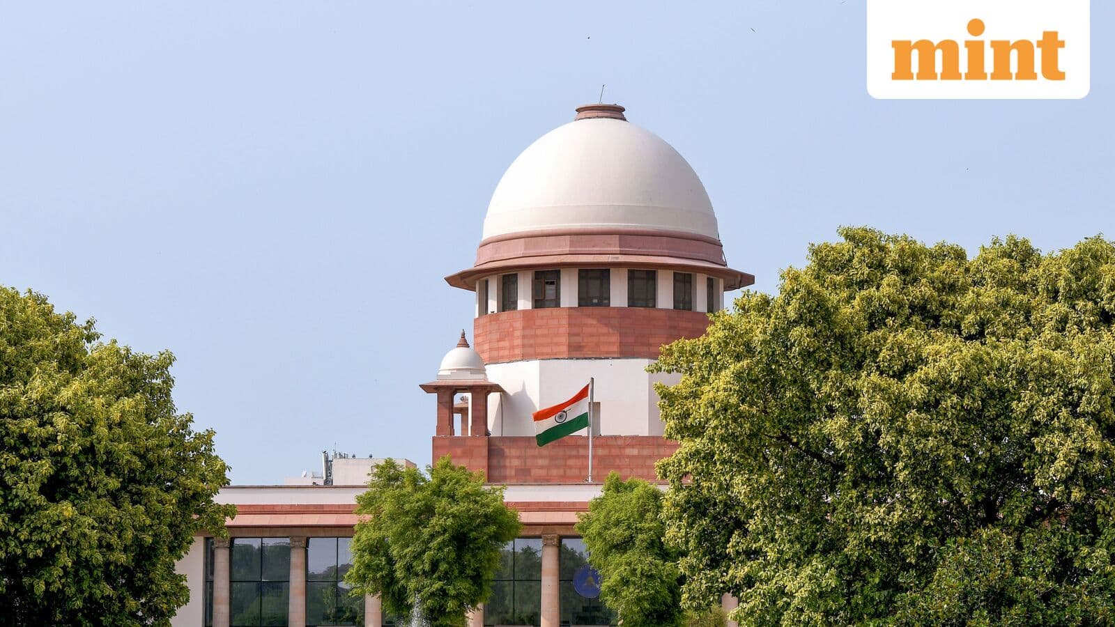 Karur stampede case: Vijay-led TVK govt gets relief as SC halts order cancelling jobs for victims' kin; what did it say?