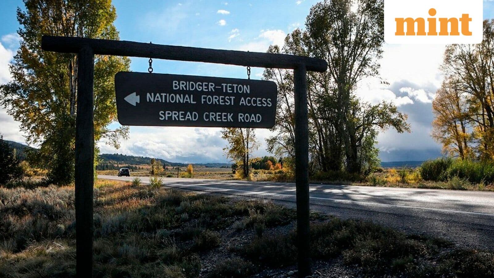 Trump administration moves ahead to rescind rule that protects national forests, open them up for logging
